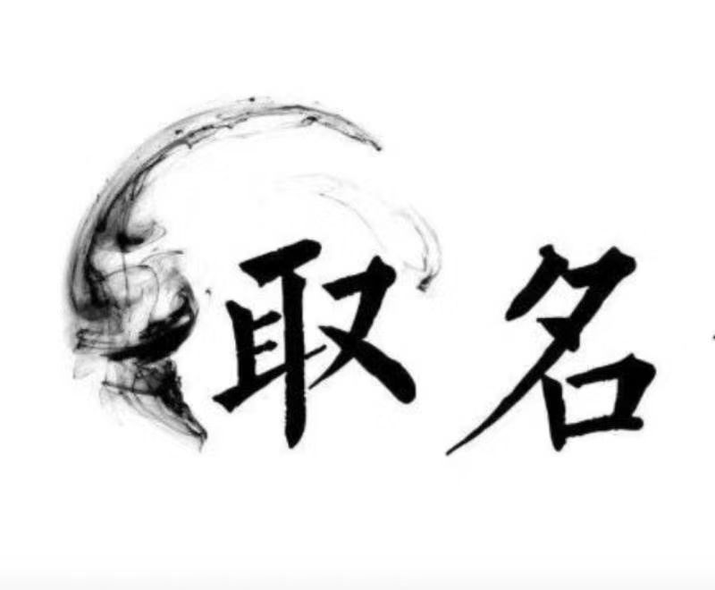  河池宝宝取名 大师一对一人工起名