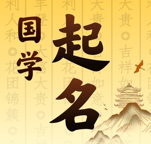 河池国学起名 人工起名一对一