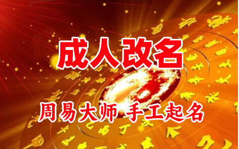 河池成人改名-找大师一对一改名先分析后改名